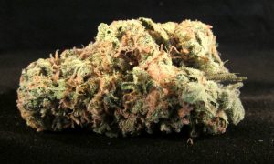 afghan-haze