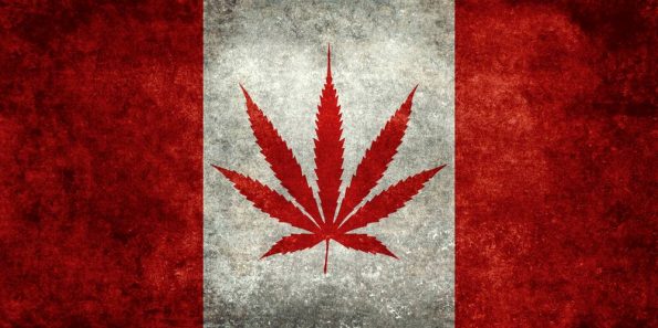 canadabis