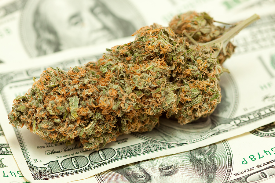 Cuál es el precio de un gramo de marihuana en diferentes partes del mundo?  - Pothead Media