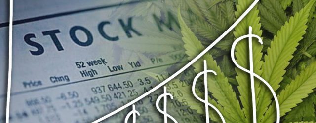 marihuana bolsa de valores
