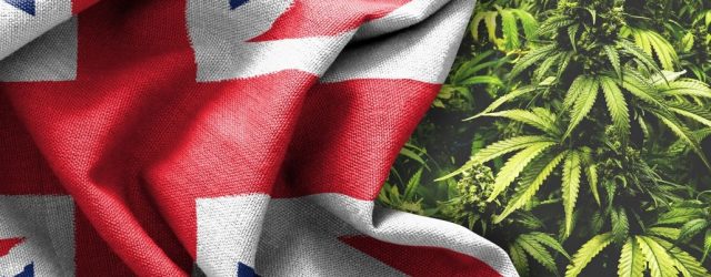 UK Imagen Revista Cáñamo