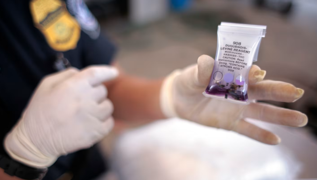 Colorado Se Convierte En El Primer Estado En Prohibir Arrestos Basados Únicamente En Test Rápidos De Sustancias