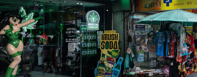 Retroceso En Tailandia; Gobierno Le Pone Fin Al Mercado Legal De Hierba Recreativa