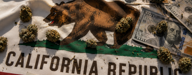 California Recaudó Cerca De 248 Millones De Dólares En Impuestos Por Venta Legal De Hierba El Primer Trimestre De 2026
